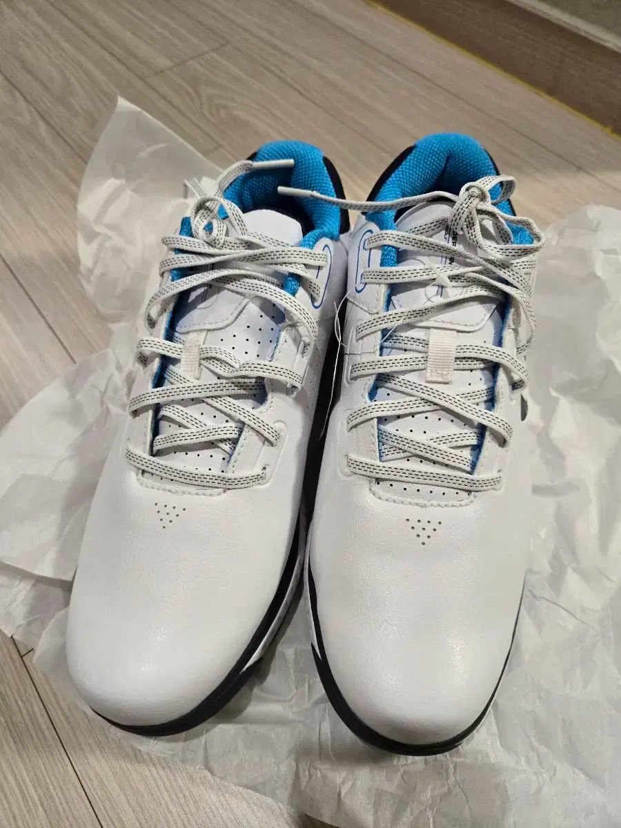 UNDER ARMOUR アンダーアーマー ゴルフシューズ スパイク 260