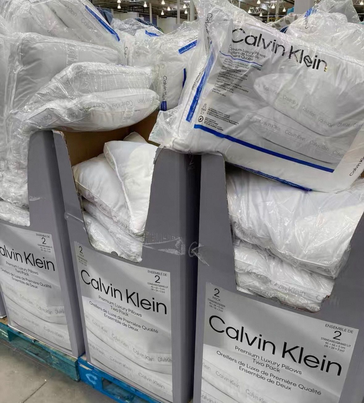 カナダ限定 カルバンクライン 枕 カナダ限定 カルバンクライン 枕 - メルカリ
