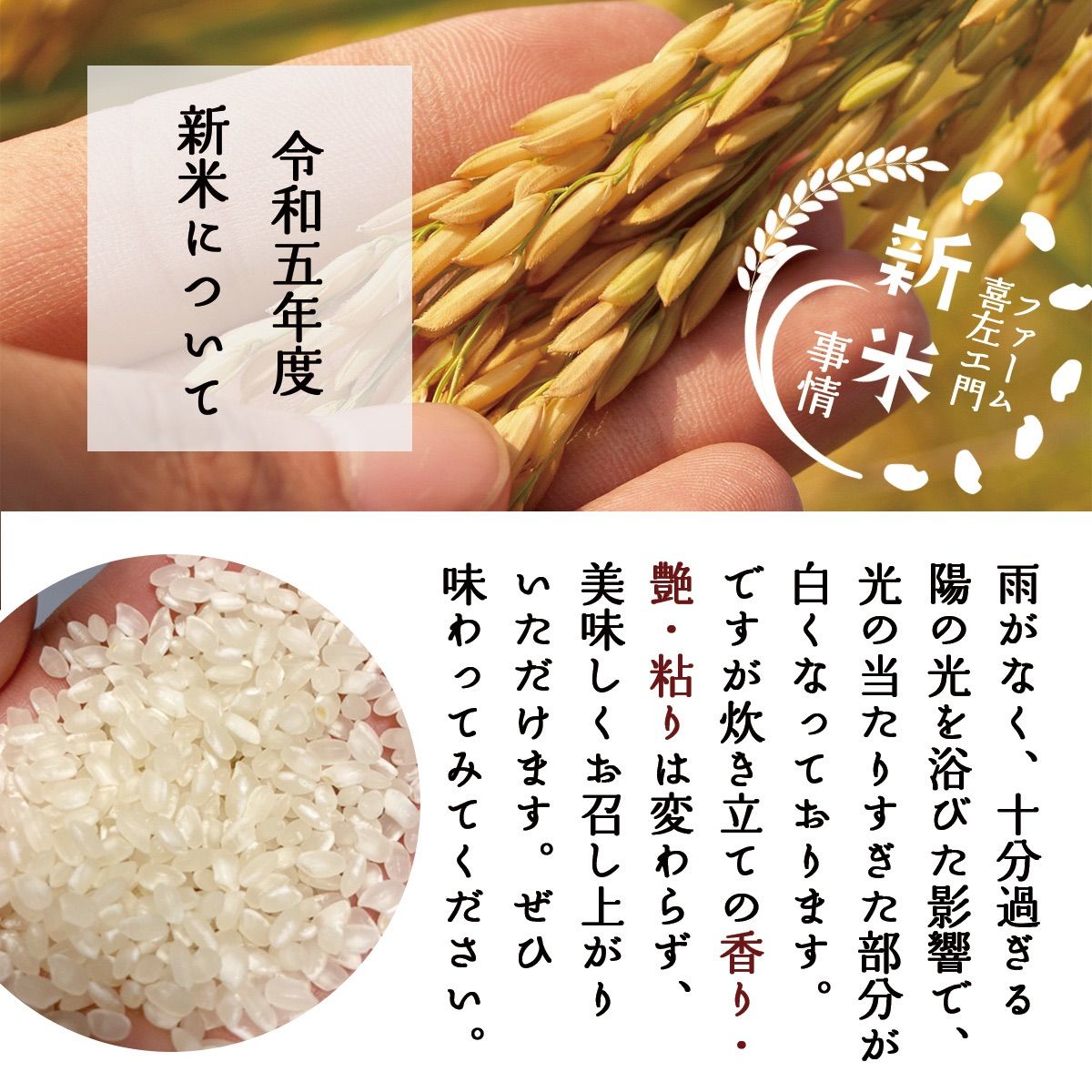新米 令和五年 新潟県 従来コシヒカリ玄米5kgにじのきらめき玄米5kg