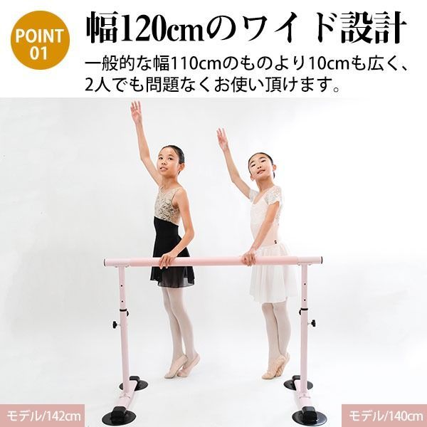 耐荷重100kg バレーバー