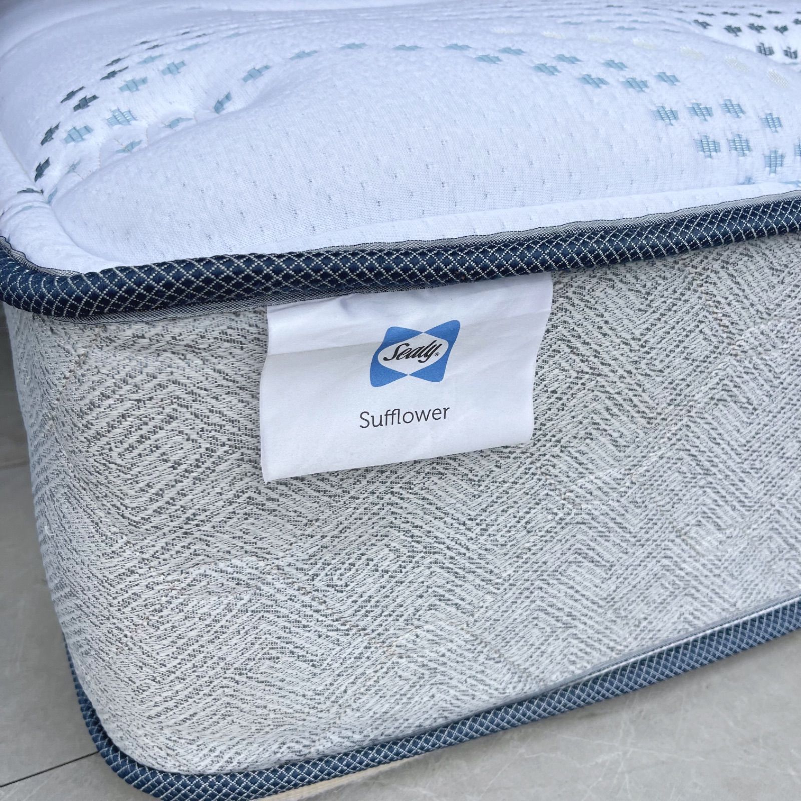 シーリー サフフラワー