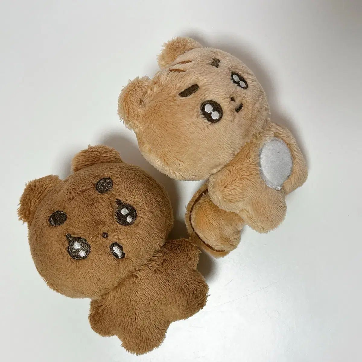 ポバトゥ ボムギュ