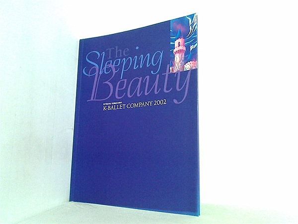別倉庫からの配送K-ballet company 2010 眠れる森の美女パンフレット