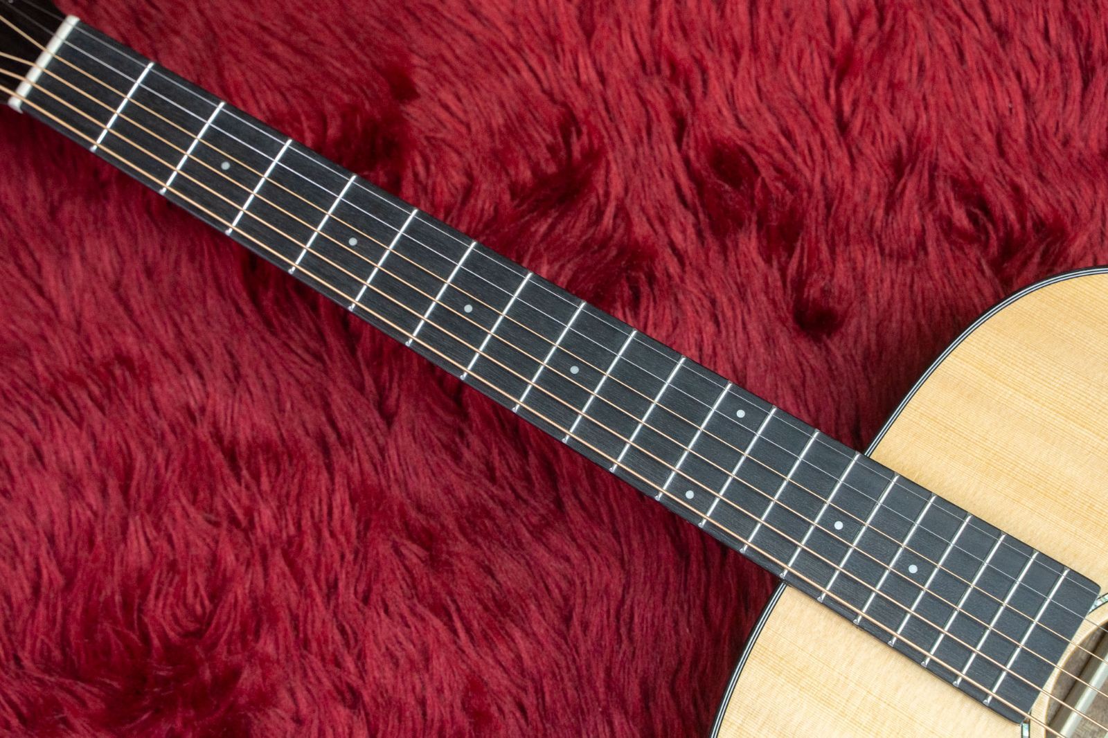 ヤイリノクターン/オール単板/￼2024年3月購入 ヤイリノクターン/オール単板/￼2024年3月購入 ヤイリノクターン