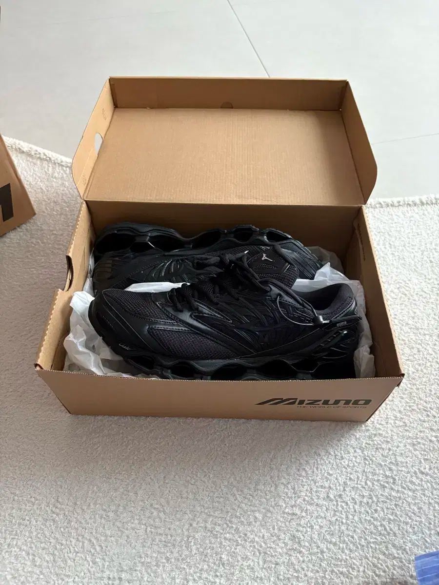 Mizuno