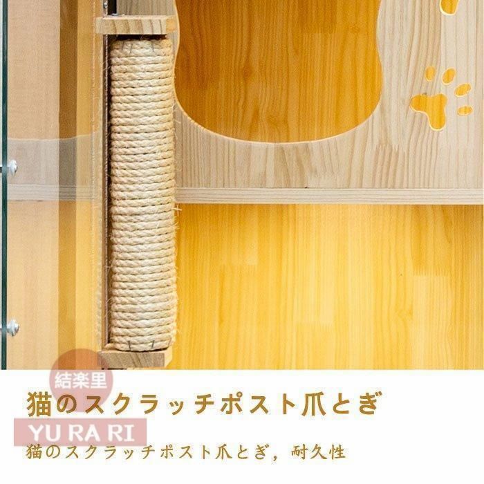 猫 子犬