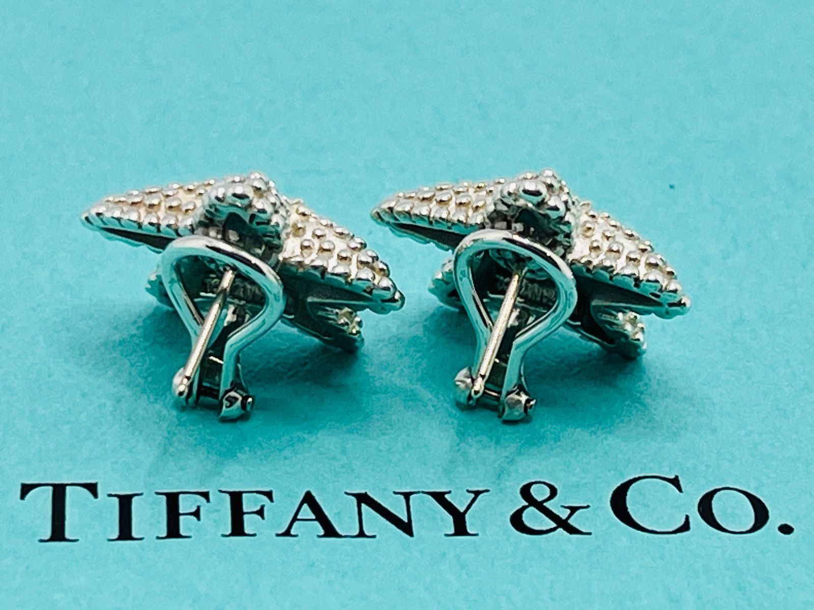 a028 送料無料 Tiffany&Co. 希少 ティファニー スターフィッシュ