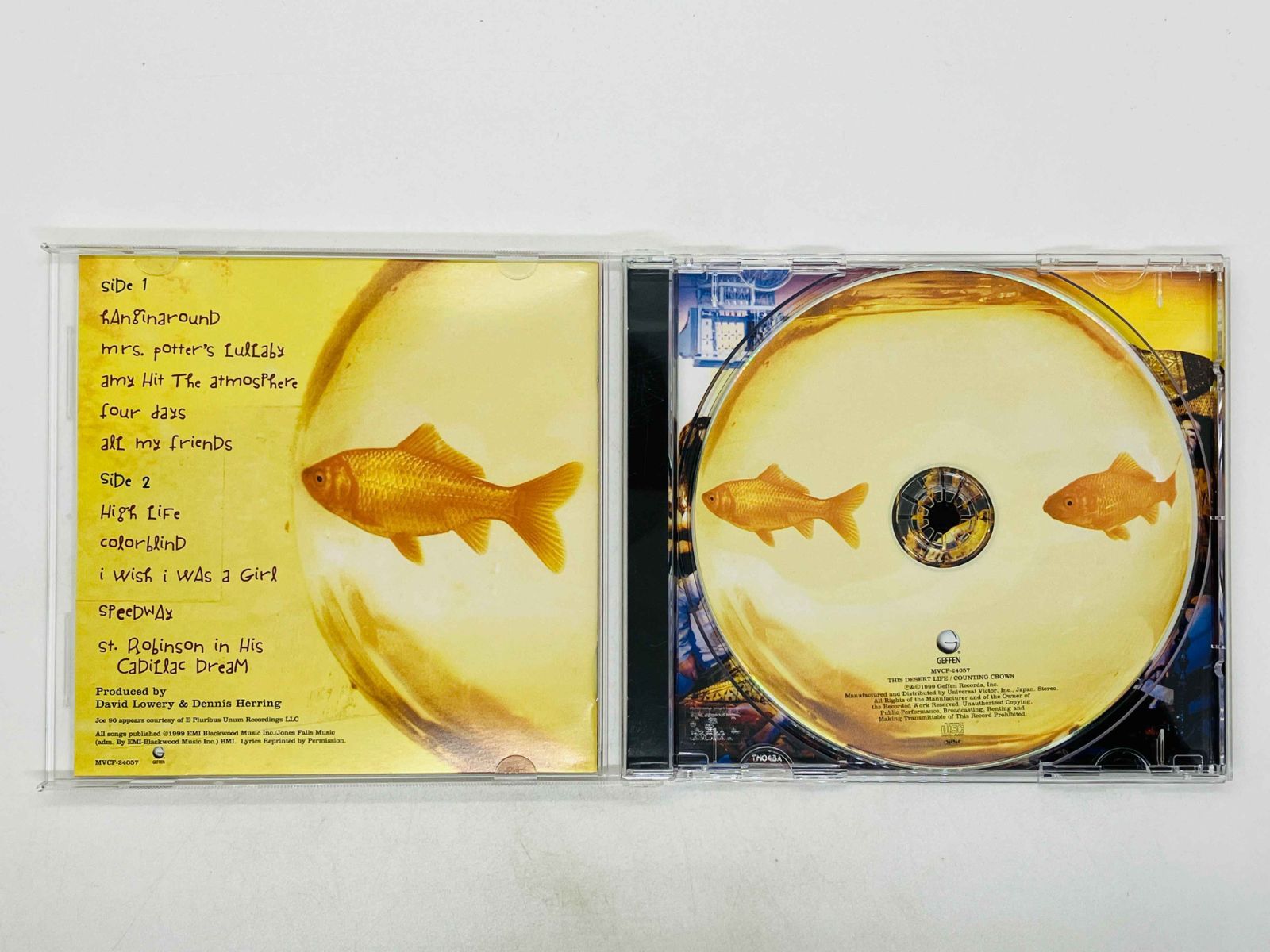 カウンティング・クロウズ/ディス・デザート・ライフ Counting Crows - This Desert Life - Amazon.com Music