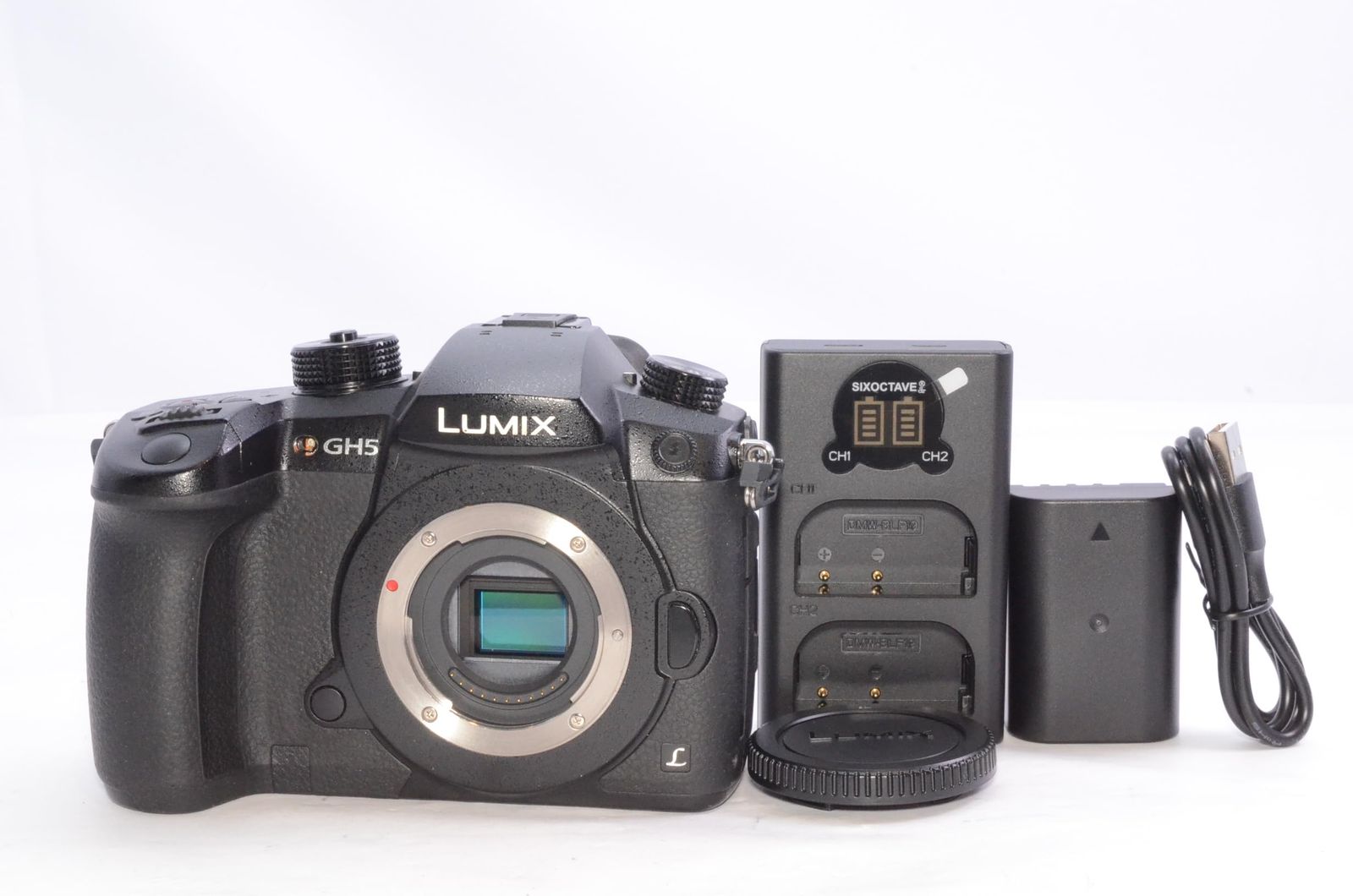 Panasonic DC-GH5