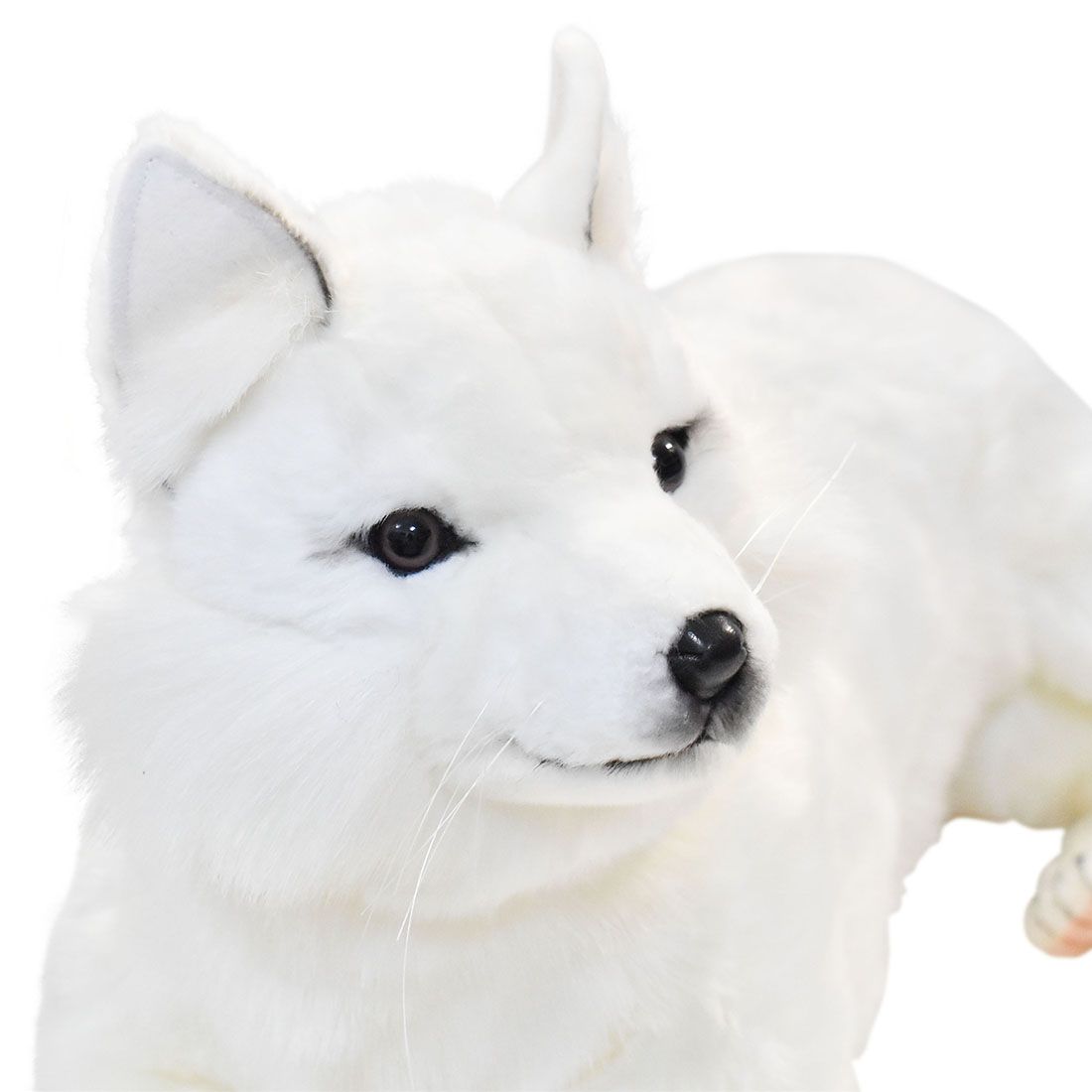 HANSA 6828 ホッキョクギツネ60 全長：60cm SNOW FOX LAY BH6828