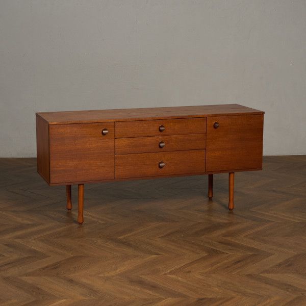 昆虫標本 テナガコガネ各種 クワガタモドキ 産地別コレクション研究用大型ドイツ箱 昆虫標本 テナガコガネ各種 クワガタモドキ 産地別コレクション