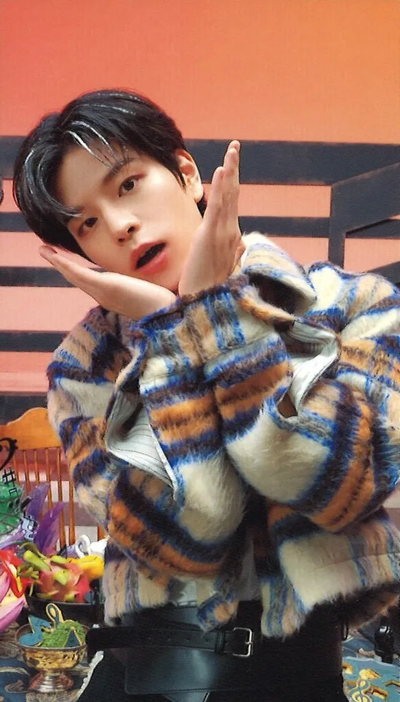 Seungmin - THE SOUND Album PC photocard photocard
