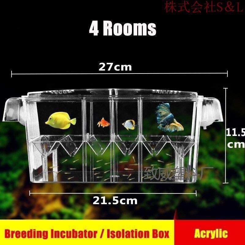 ベタ 飼育 生体株式会社S&L 飼育セット 魚 ベタフィッシュ 熱帯魚 水槽 おしゃれ 孵化 グッピー ベタ ダンボ 隔離 分離 アクリル