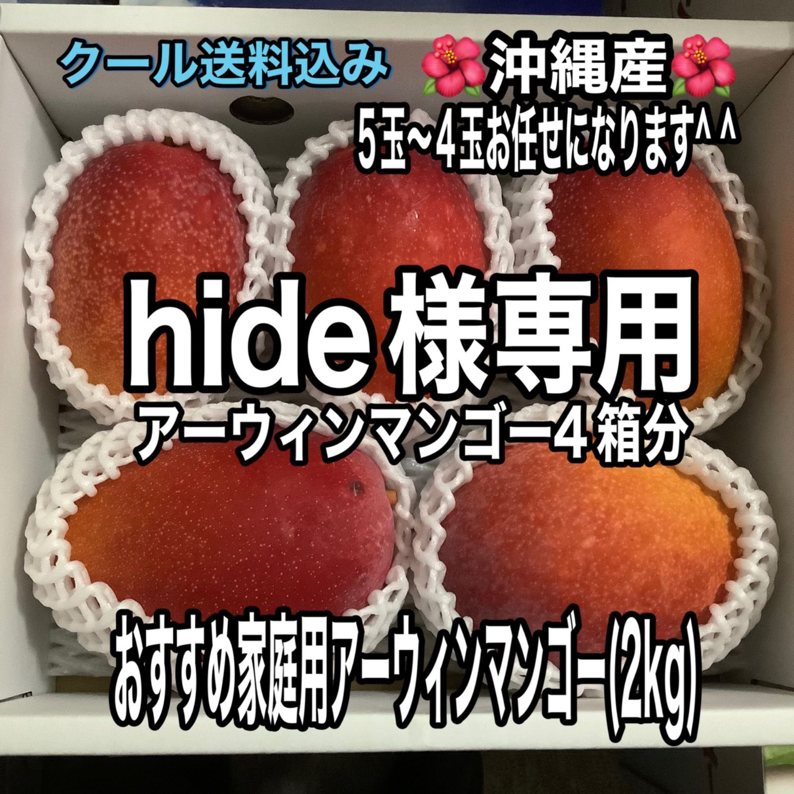 hide様 hide kagoshima様専用（Hides様専用 （hide様専用ページ