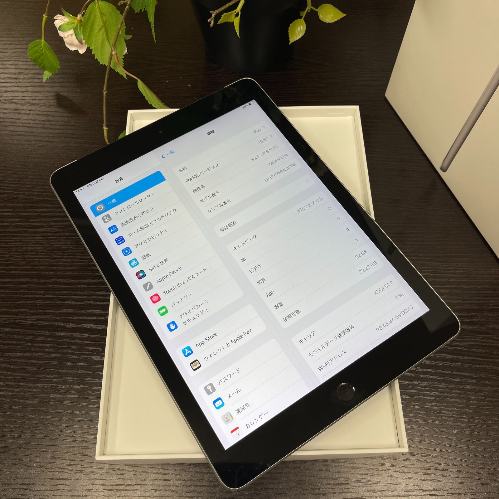 iPad(第6世代) スペースグレイ32GB Wi-Fi + Cellularモデル iPad iPad6