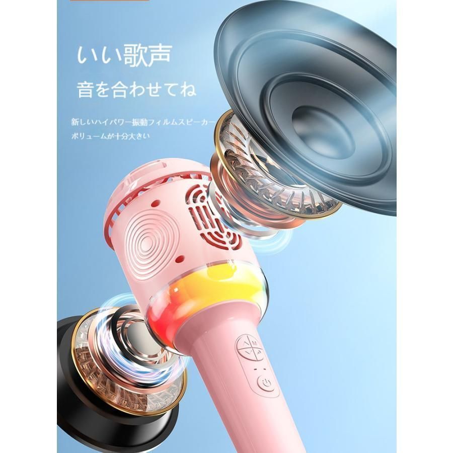 HANZON Sound Box 無線マイク2本付き HANZON サウンドボックス 無線