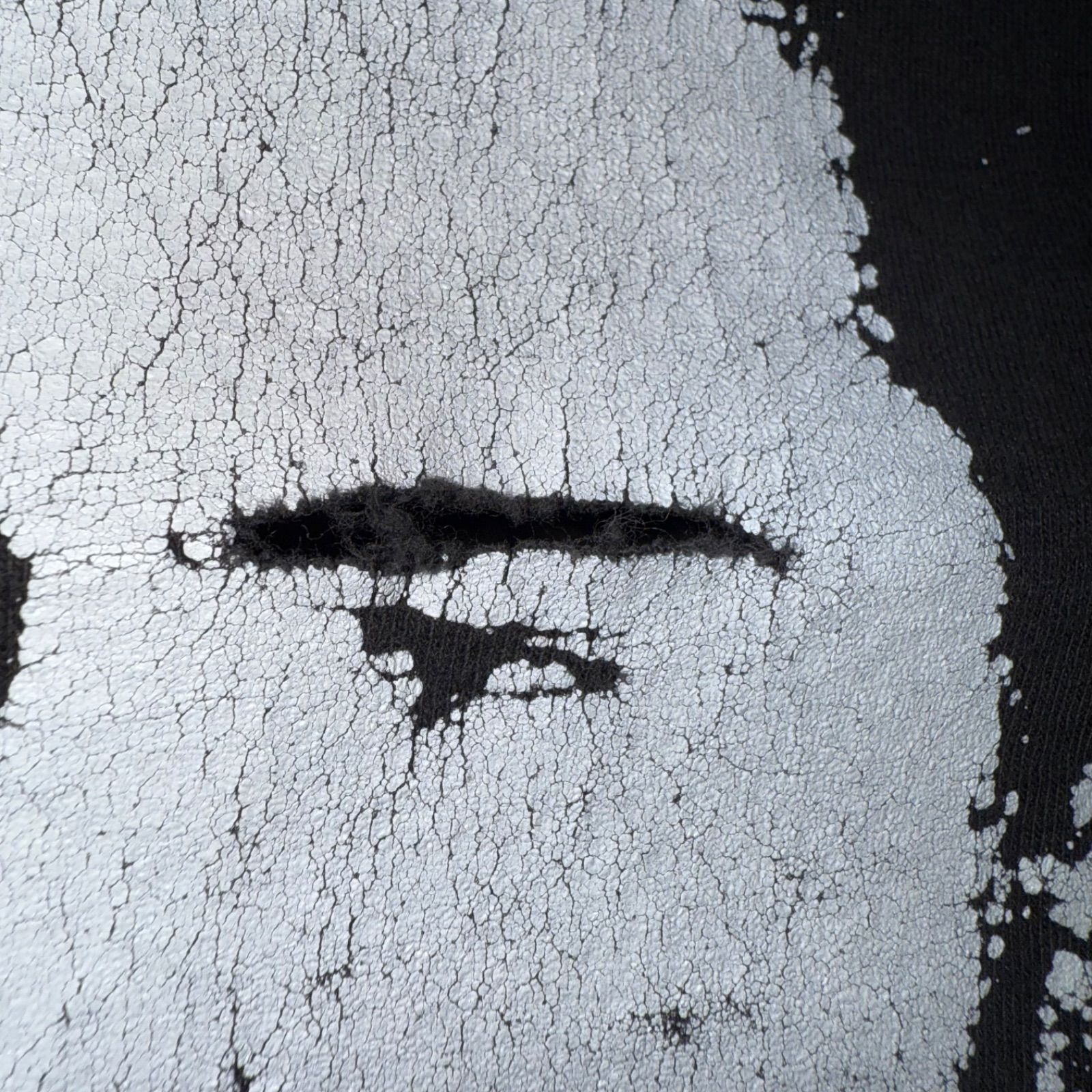 シド ヴィシャス