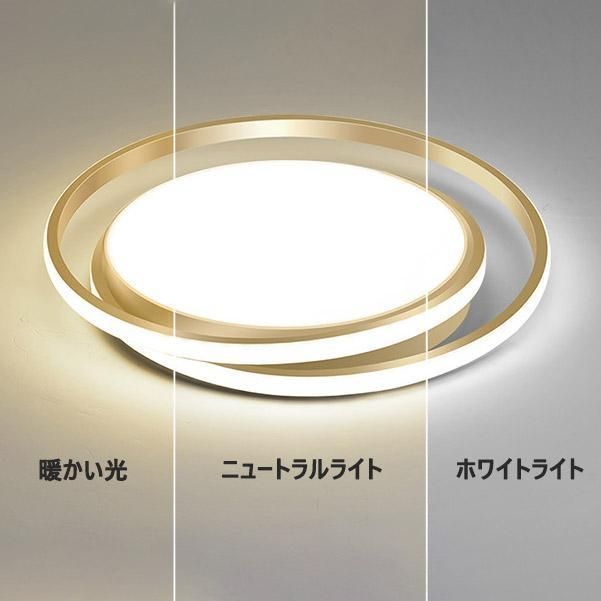 天井照明 シンプル