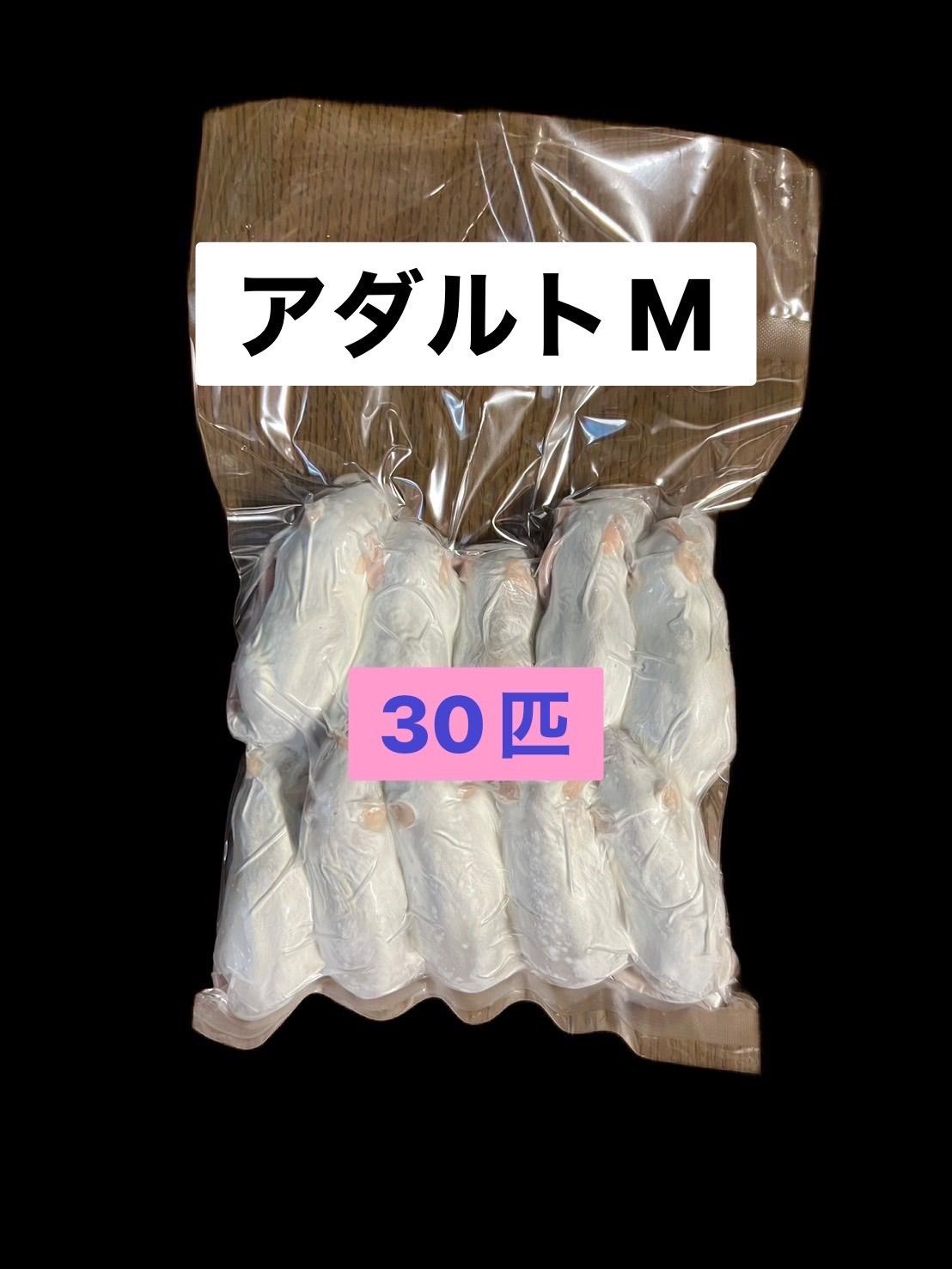 国産冷凍アダルトマウスM 30匹 送料込 即日発送 同梱可
