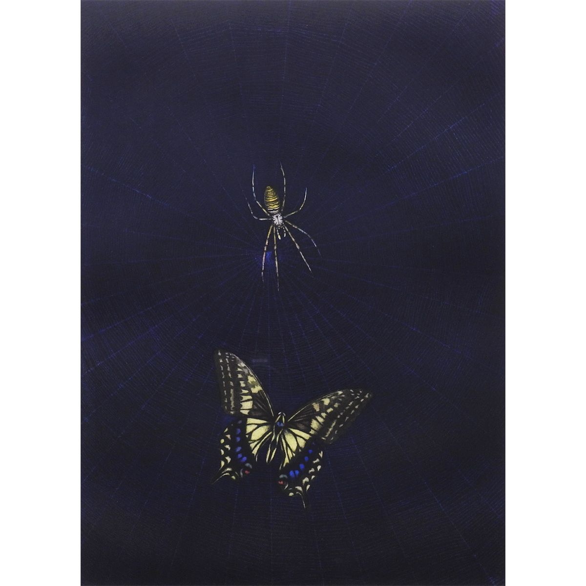 最終値下げ 加山又造 蝶 動物画 作家直筆サイン 昆虫 クモ 蜘蛛