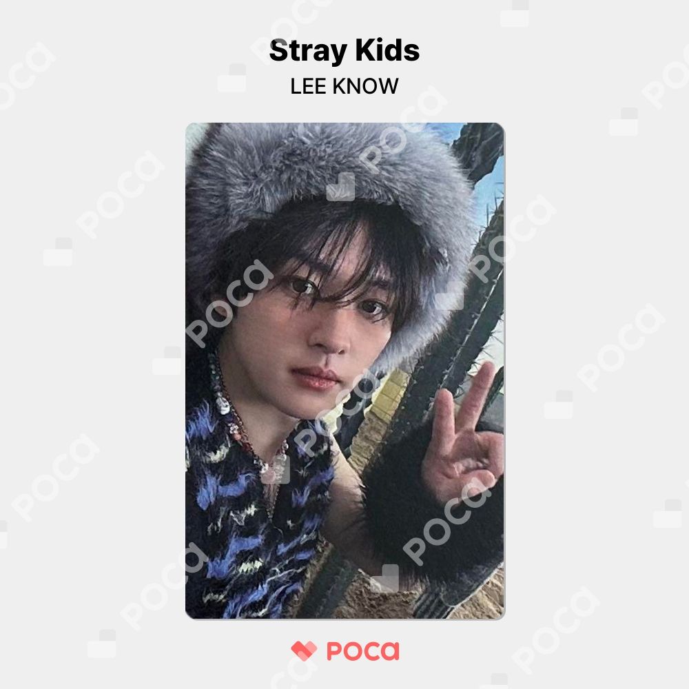 Stray Kids - straykids スキズ ATE リノ HMV ラキドロ トレカの