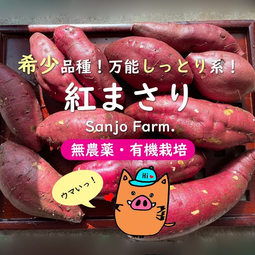 のサムネイル