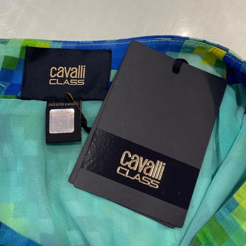 class roberto cavalli タイトスカート 2025年最新】CLASS roberto cavalli タイトスカートの人気
