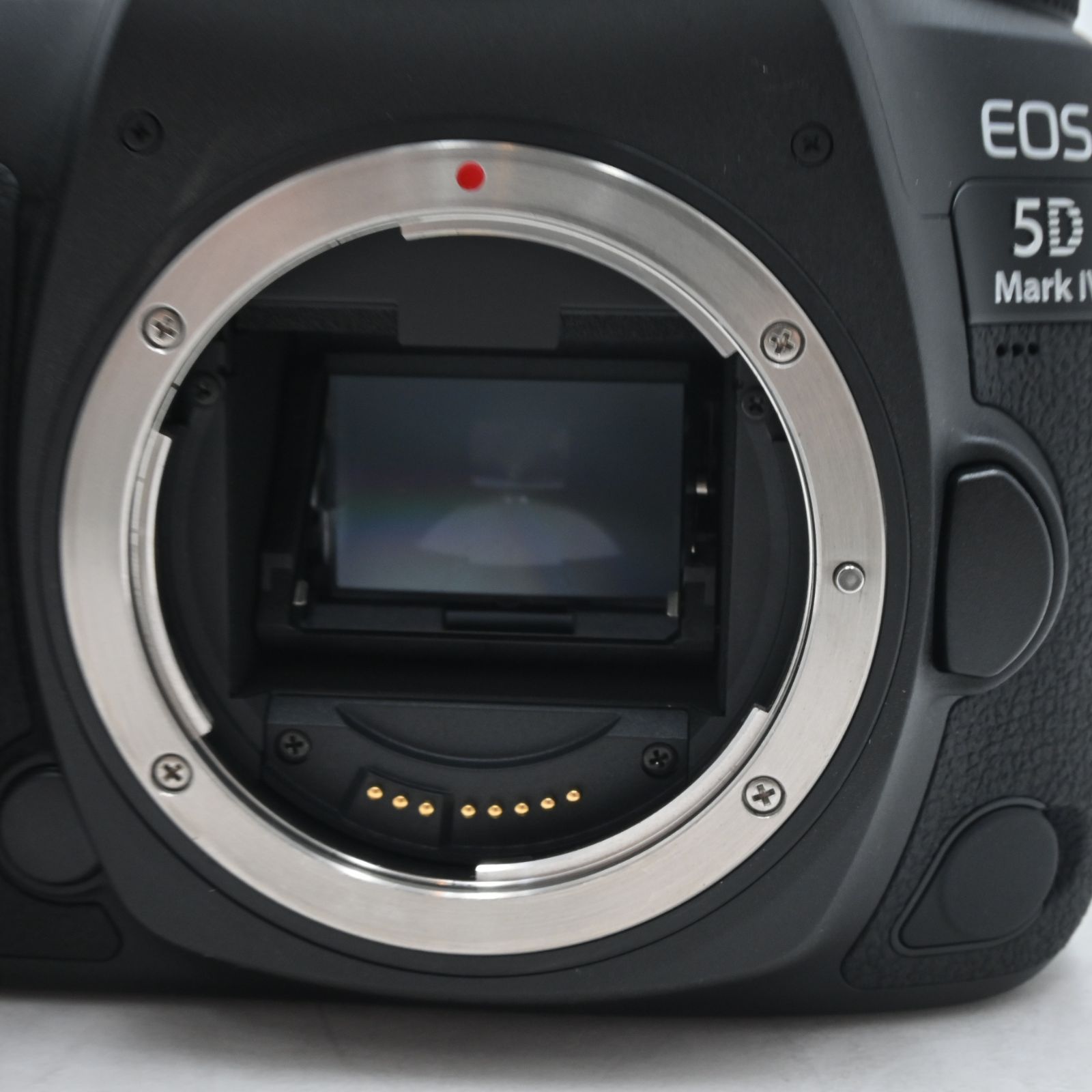 キヤノン EOS 1DX シャッター数48000以下　美品 キヤノン EOS 1DX シャッター数48000以下 美品 - メルカリ