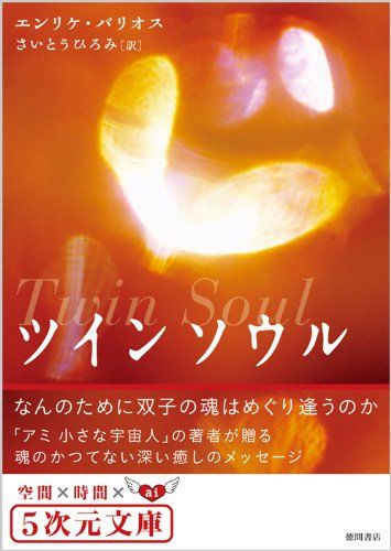 ツインソウル: なんのために双子の魂はめぐり逢うのか (5次元文庫 ハ 1-1)／エンリケ バリオス