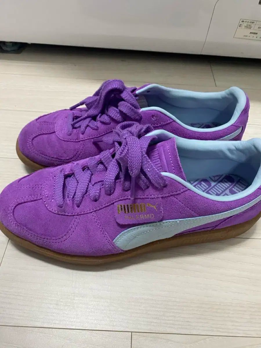 PUMA(プーマ) パレルモ バイオレット