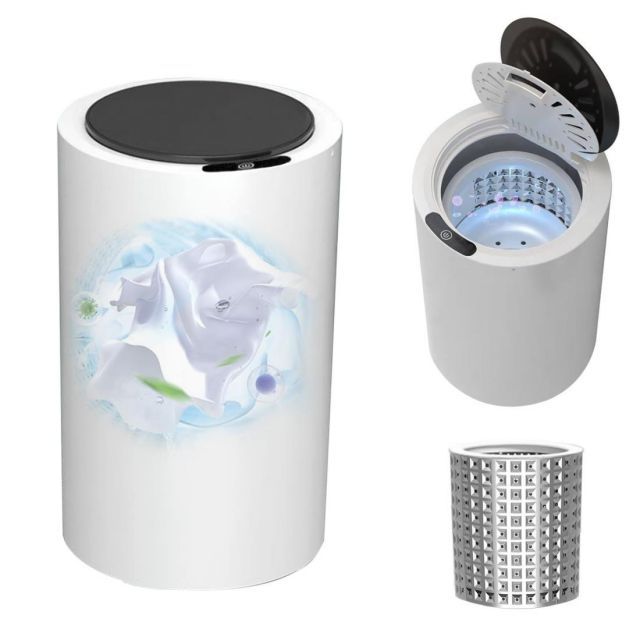 ☆希少☆ サメ(メジロザメ)の剥製 ショップ ☆希少☆ サメ(メジロザメ