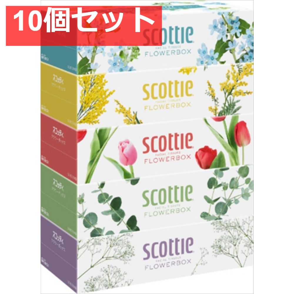 SCT ティシュー フラワーボックス 250組 5箱パック 10個セット