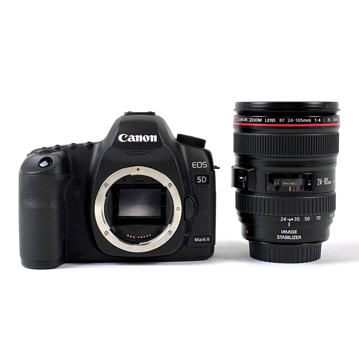 コンパクトで持ち運びやすい✨Nikon D5300✨希少なグレー✨ コンパクトで持ち運びやすい✨Nikon D5300✨希少なグレー✨