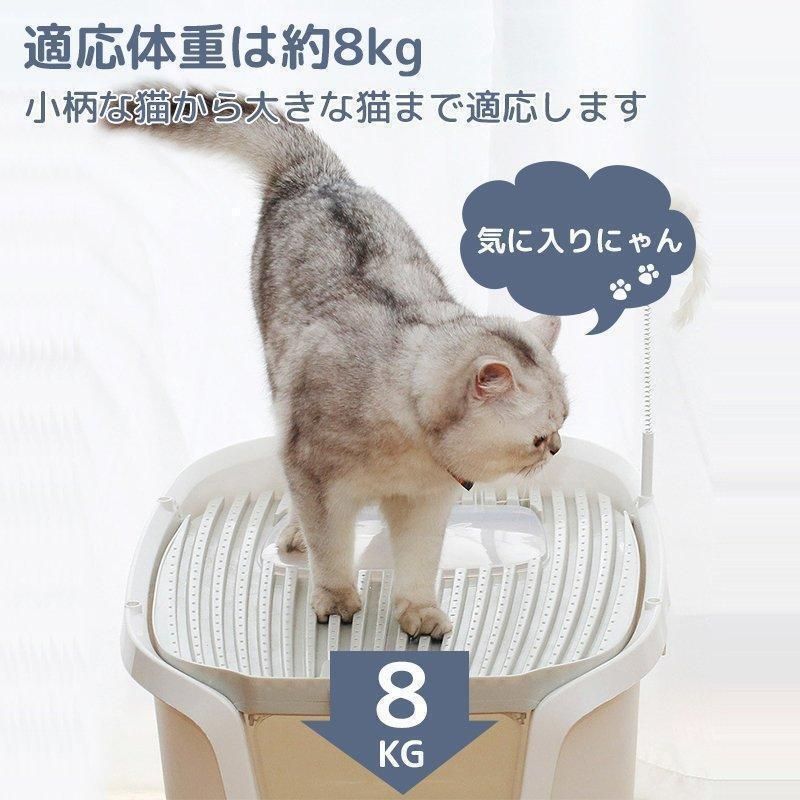 コンパクト