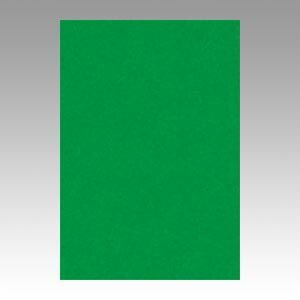 （まとめ） 色画用紙 文運堂 ニューカラーＲ 緑 8NCR-321 4954022683214 1冊【×10セット】 10,108円