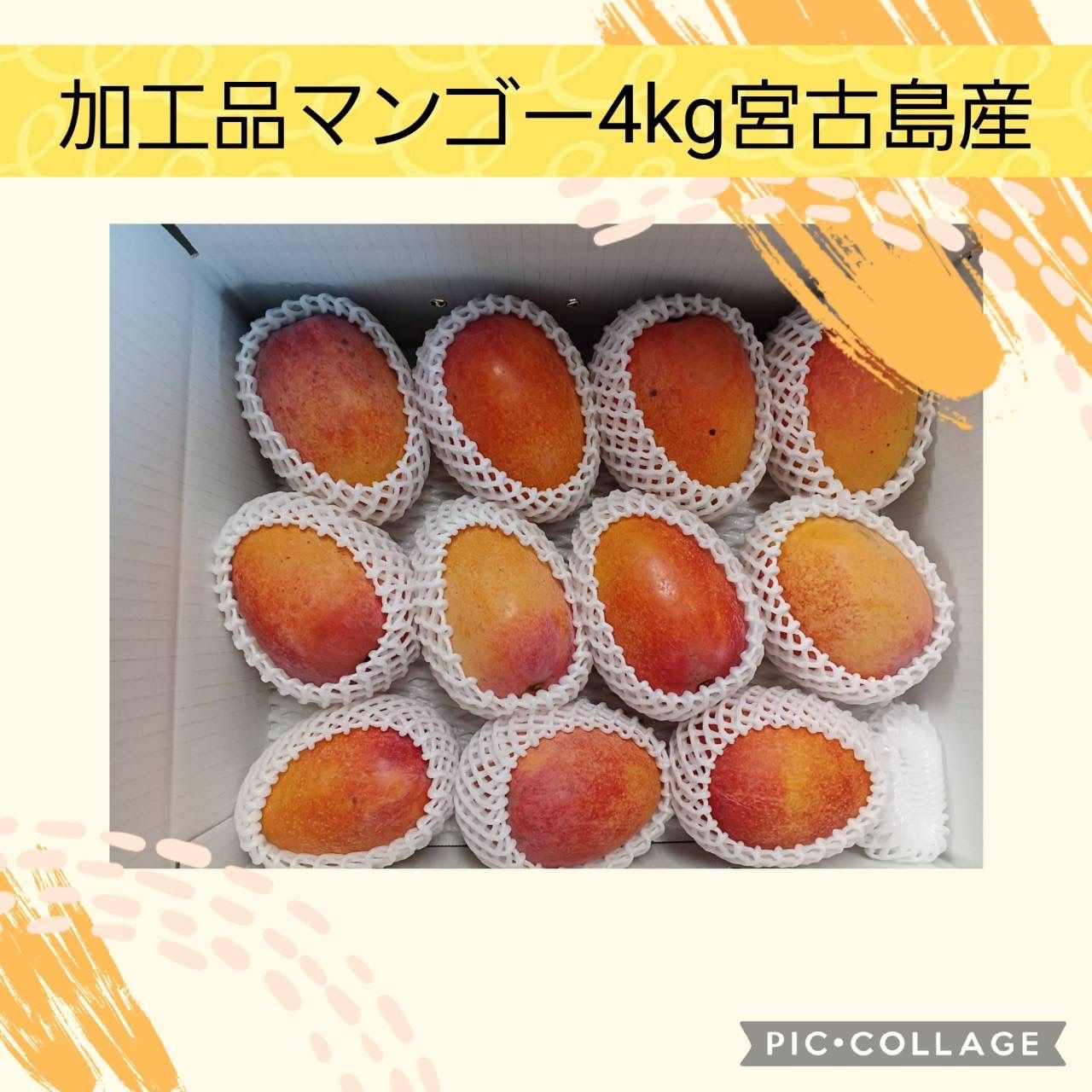 加工用マンゴー4kg宮古島産クール み 事前予約 7月から発送予定