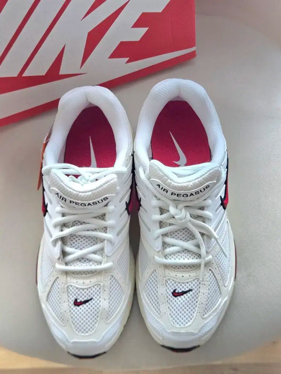 ナイキペガサス