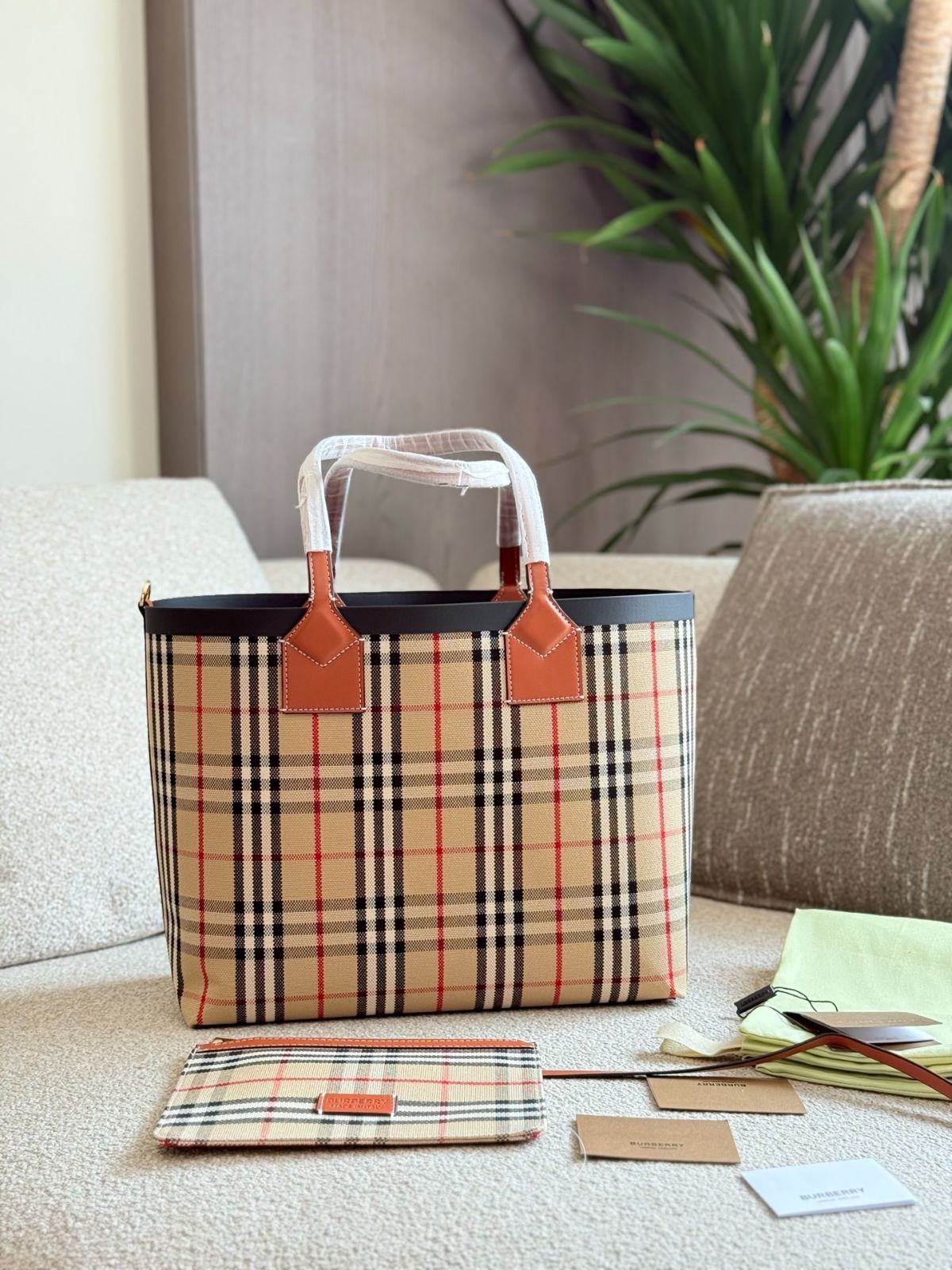 メルカリ便　メキシカンジャイアント錦　ポットごと メルカリ便 メキシカンジャイアント錦 ポットごと メルカリ便