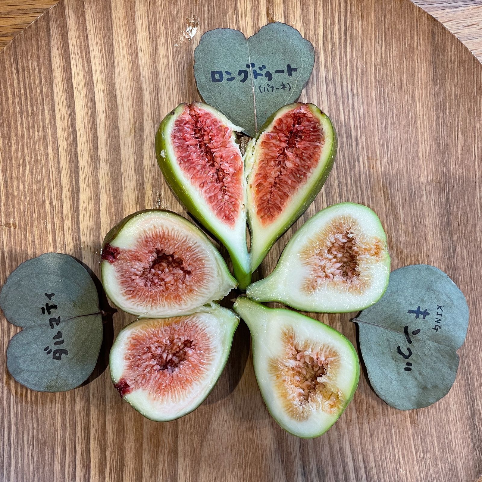 【高糖度で丸ごと食べられる】キング 大苗 3年生 無農薬 有機栽培 いちじく