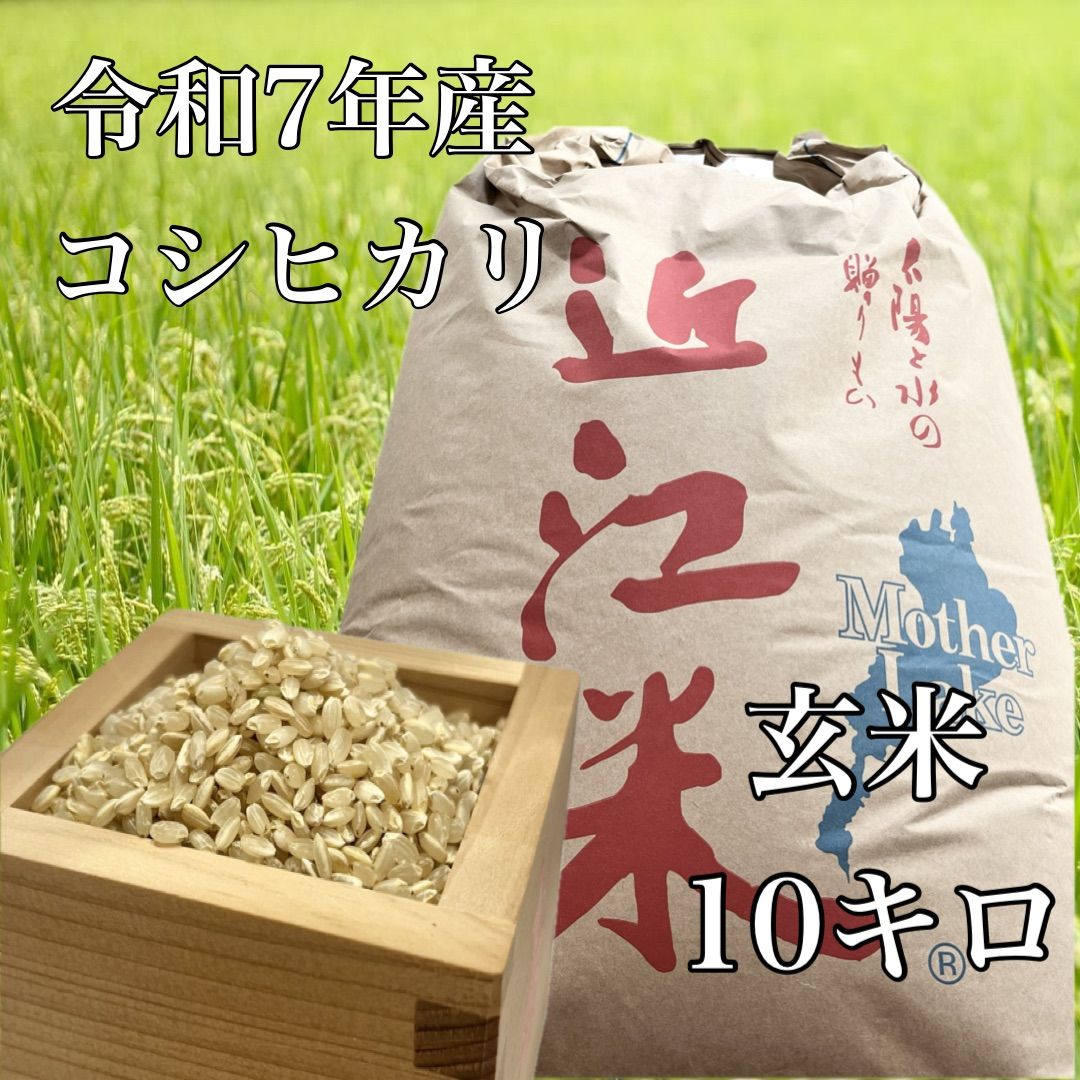令和7年産 新米 コシヒカリ 特別栽培米 玄米10キロ 湖北 近江米 み 一部地域送料あり