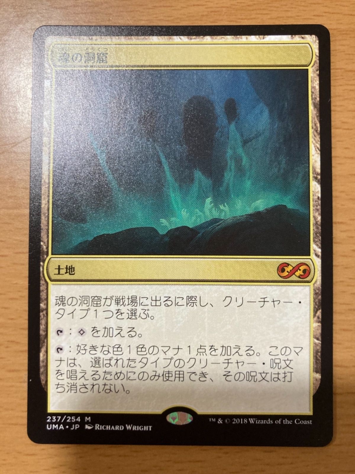 MTG 魂の洞窟 日本語版 1枚 - メルカリ