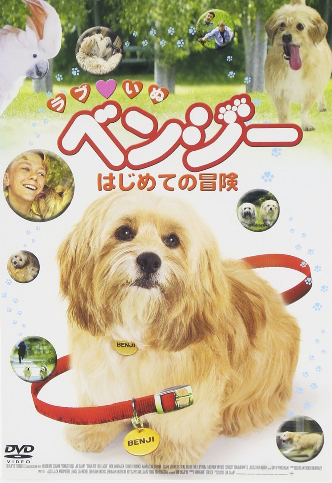 ラブ いぬベンジー はじめての冒険 DVD