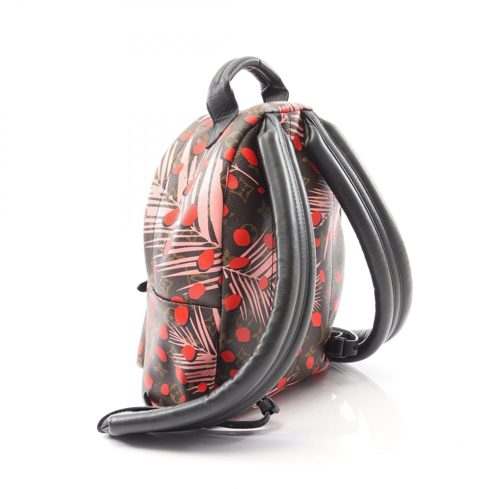 ルイ・ヴィトン パームスプリングスPM モノグラム リュックサック