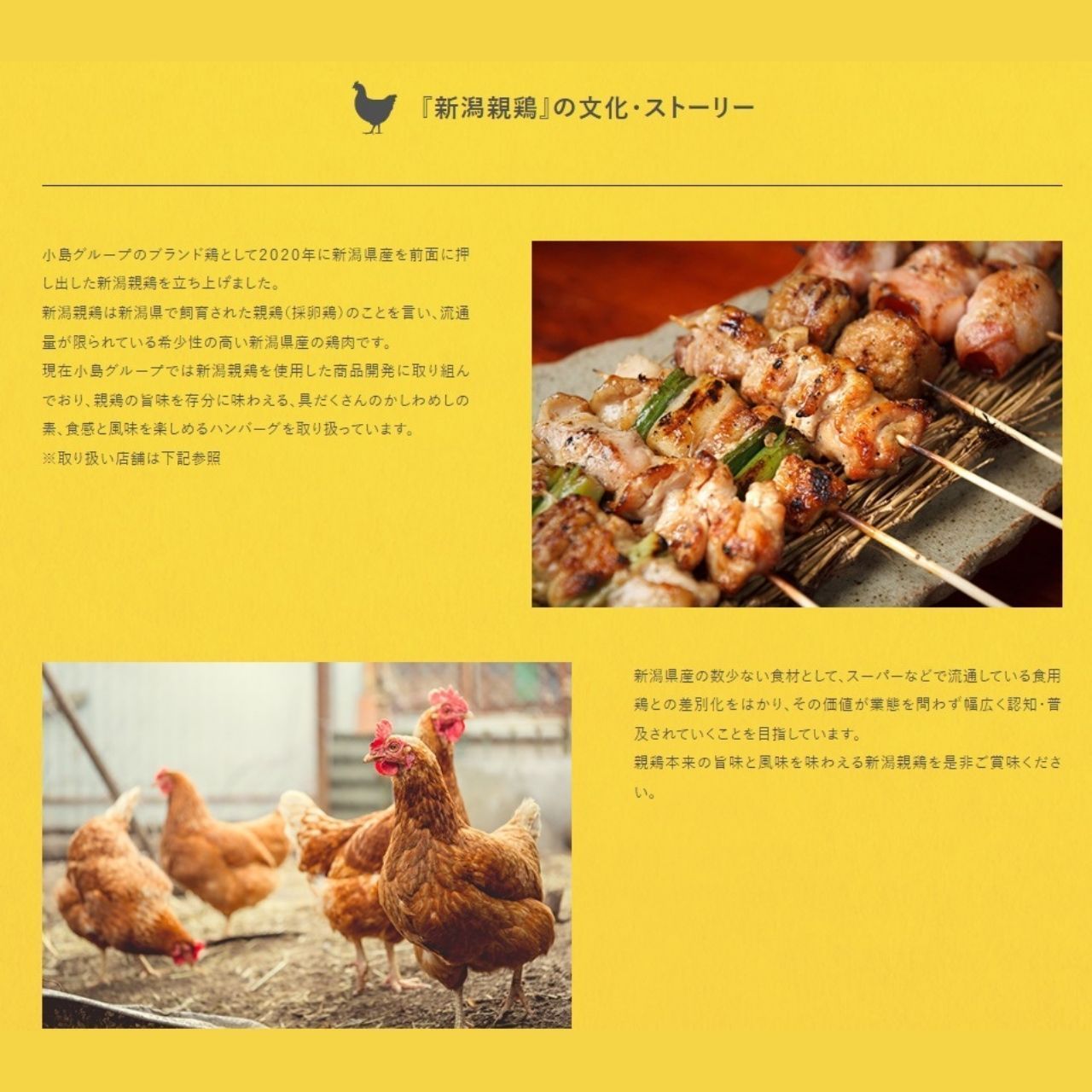 DOMAINE LEROY（ドメーヌ ルロワ）コトー ブルギニヨン ブラン 2011