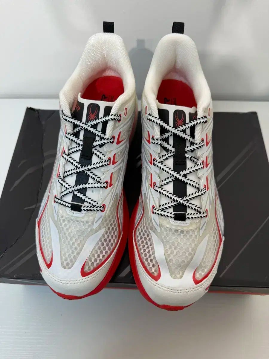 Felica Chiao SKETCHBOOK 6 限定2000部 直筆サイン 高品質 Felica