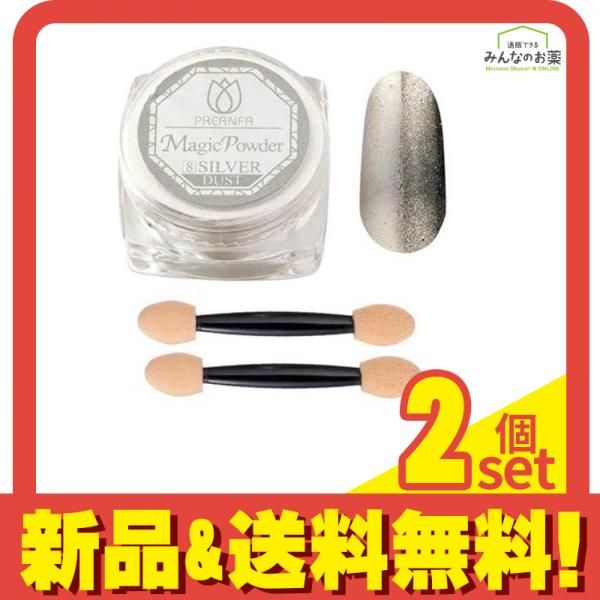 PREGEL(プリジェル) マジックパウダー MJF-108 シルバーダスト  2g 2個セット まとめ売り
