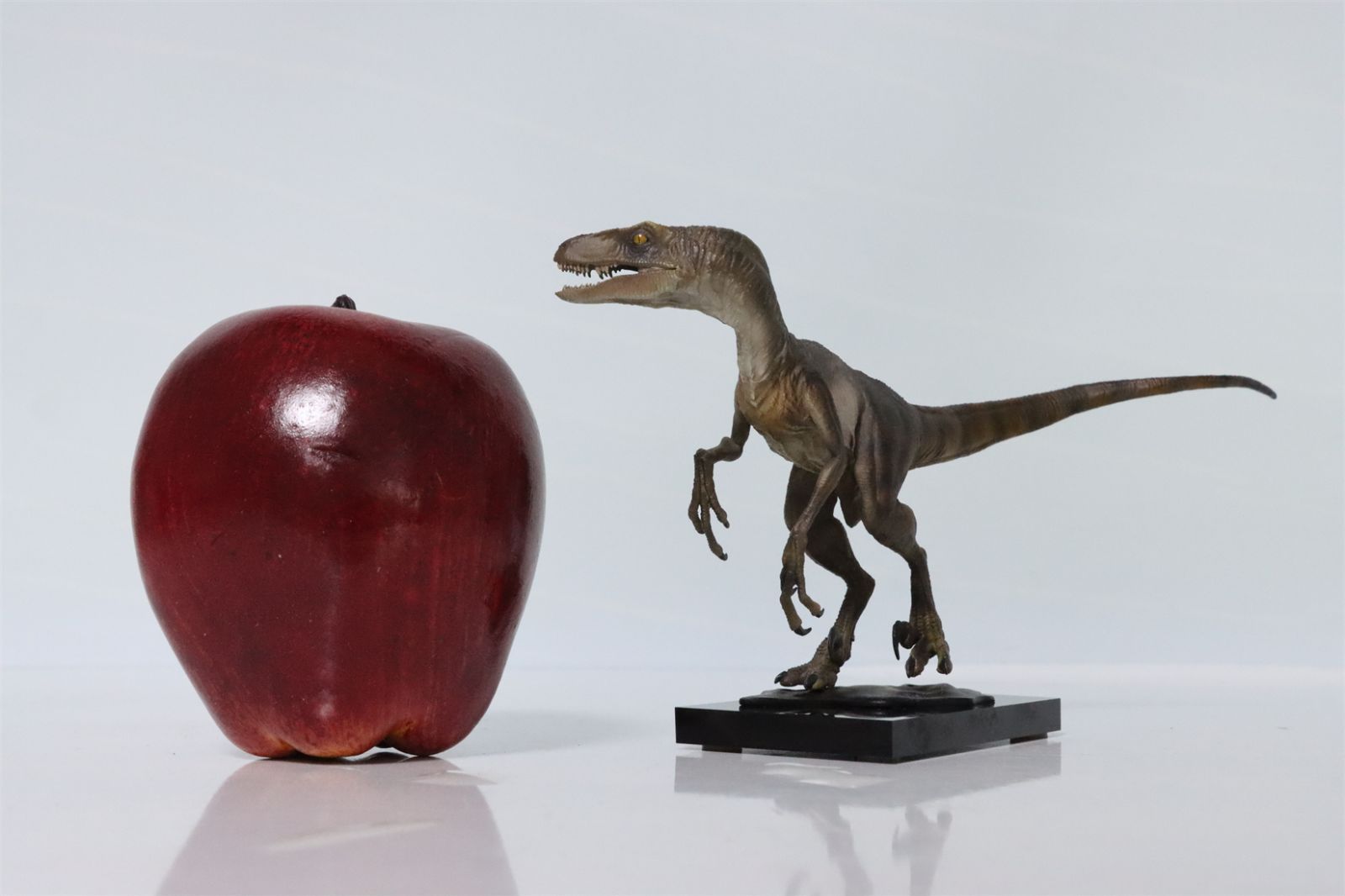 DINO DREAM 記念版 ヴェロキラプトル 恐竜 20cm 小型 肉食 台座