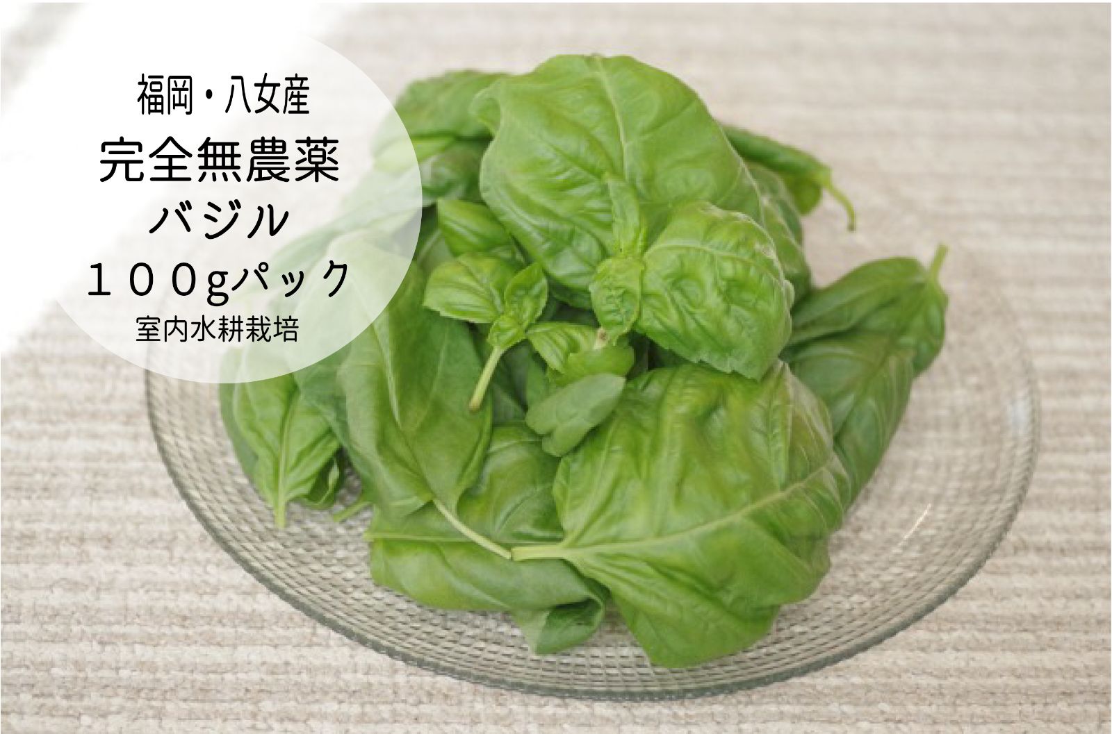 最安値に挑戦！ 調味 バジル/100g 食品