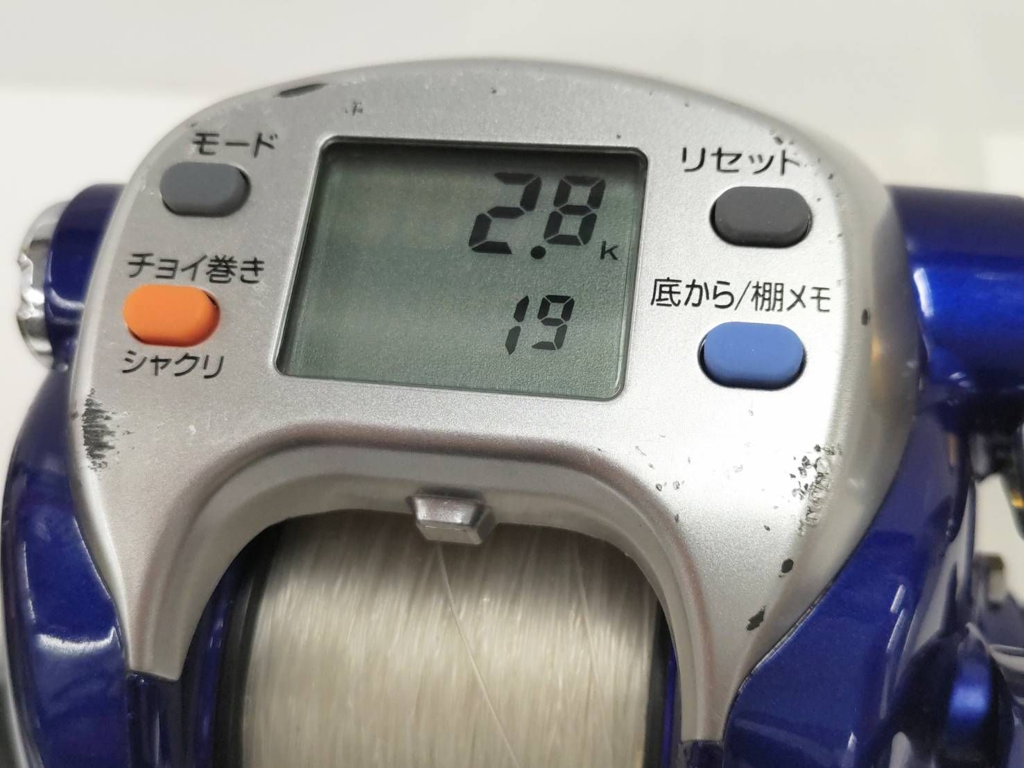 イサキ