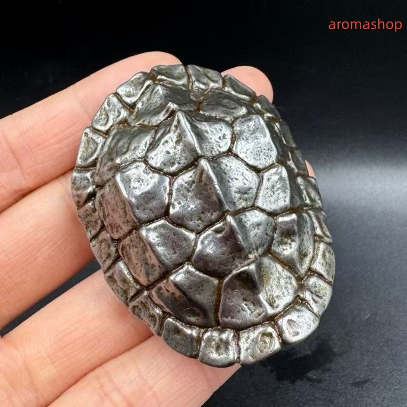 隕鐵 清代 旧蔵 チベット古寺 天鉄-隕石鉄 河図洛書・亀の甲羅